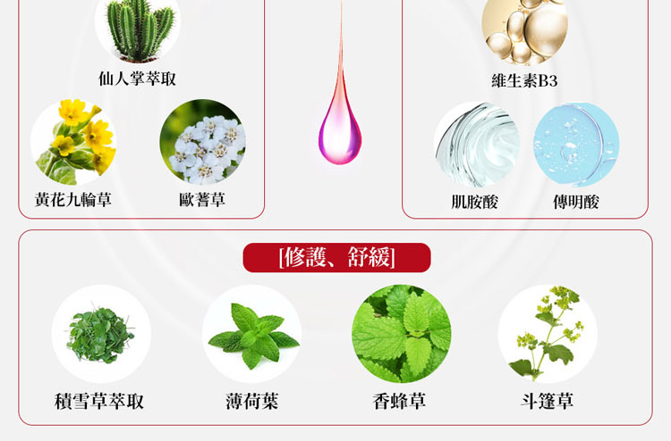 仙人掌萃取