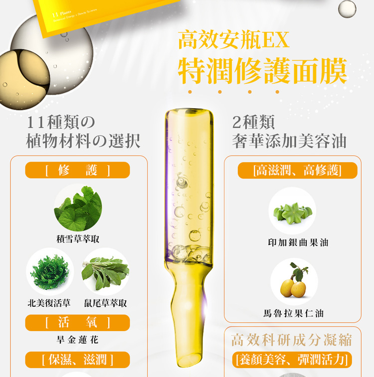 北美复活草 鼠尾草萃取