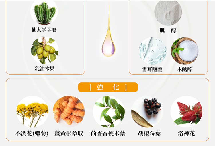 不凋花蜡菊 姜黄根萃取 茴香香桃木叶