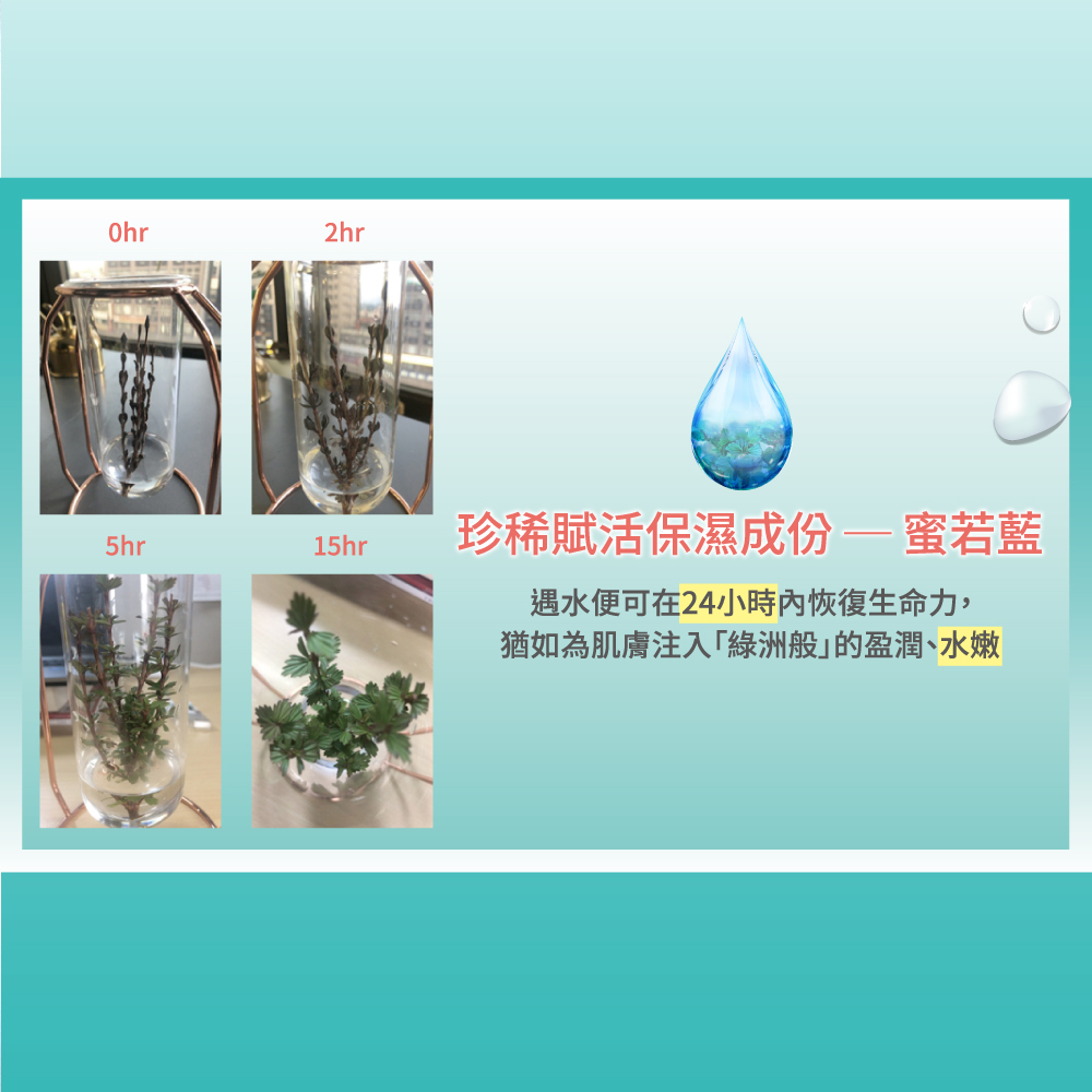 珍稀赋活保湿成份一蜜若蓝 遇水便可在24小时内恢复生命力, 犹如为肌肤注入绿洲般的盈润、水嫩 
