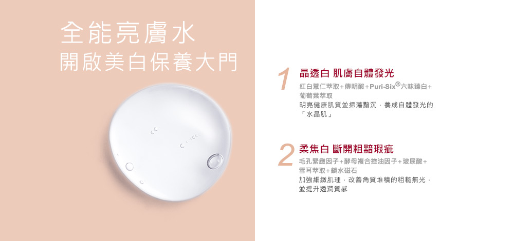 红白薏仁萃取传明酸PuriSix六味臻白