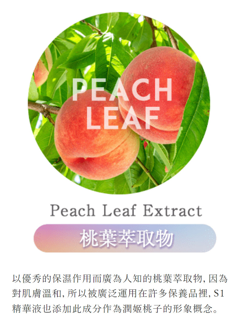 桃叶萃取物 以优秀的保湿作用而广为人知的桃叶萃取物, 因为 对肌肤温和, 所以被广泛运用在许多保养品里, S1 精华液也添加此成分作为润姬桃子的形象概念。 
