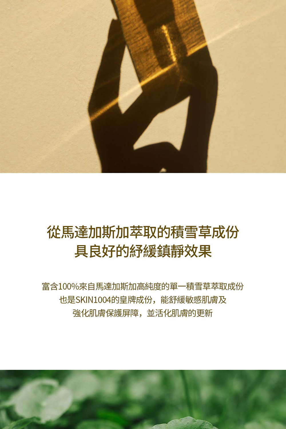 从马达加斯加萃取的积雪草成份 具良好的纾缓镇静效果 富含100%来自马达加斯加高纯度的单一积雪草萃取成份 也是SKIN1004的皇牌成份,能舒缓敏感肌肤及 强化肌肤保护屏障,并活化肌肤的更新 