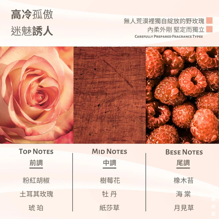 无人荒漠里独自绽放的野玫瑰