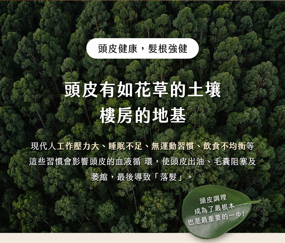 这些习惯会影响头皮的血液循 环,使头皮出油、毛囊阻塞及