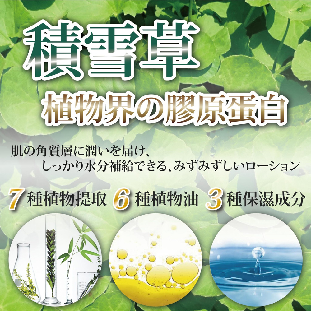 植物界胶原蛋自