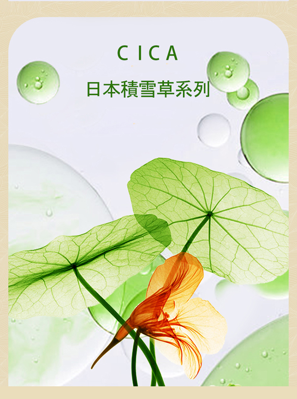 日本积雪草系列 