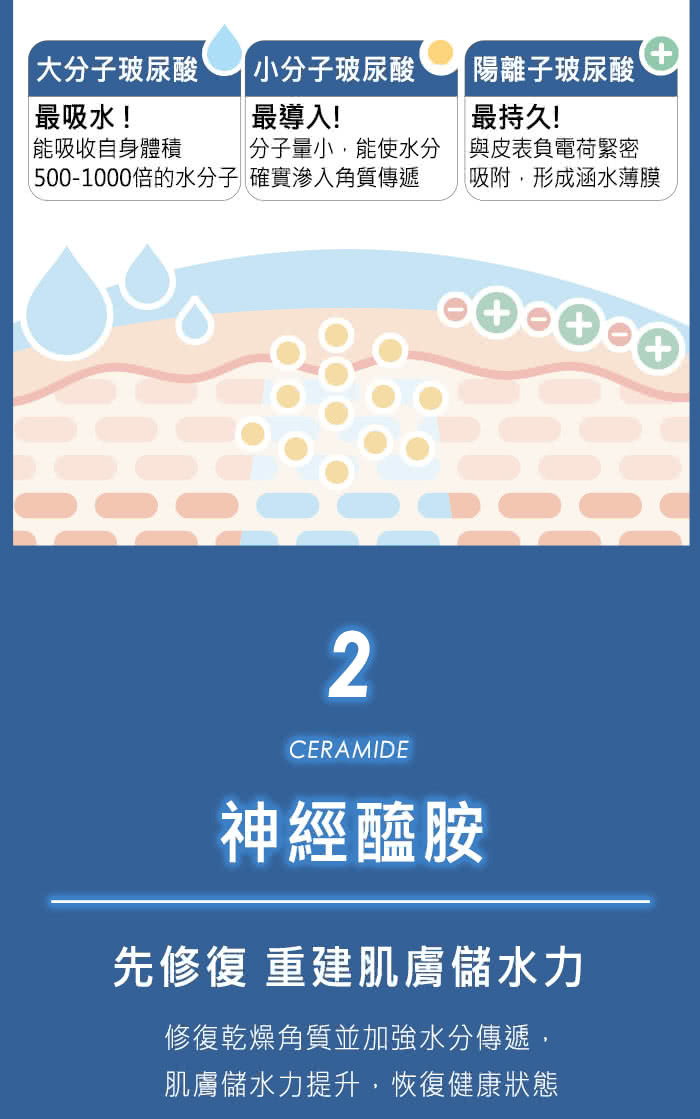 5001000倍的水分子确实渗人角质传递