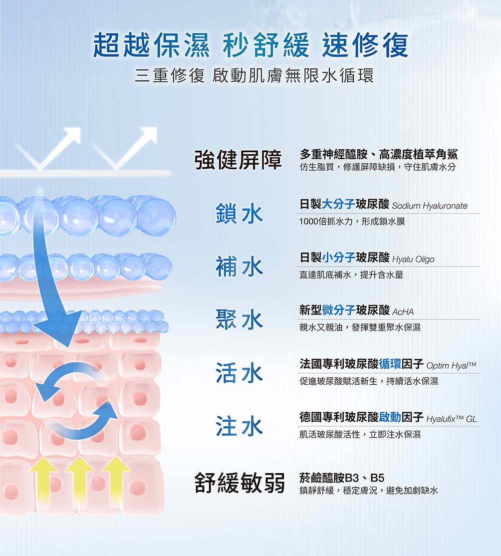 日制大分子玻尿酸 Sodium Hyaluronate