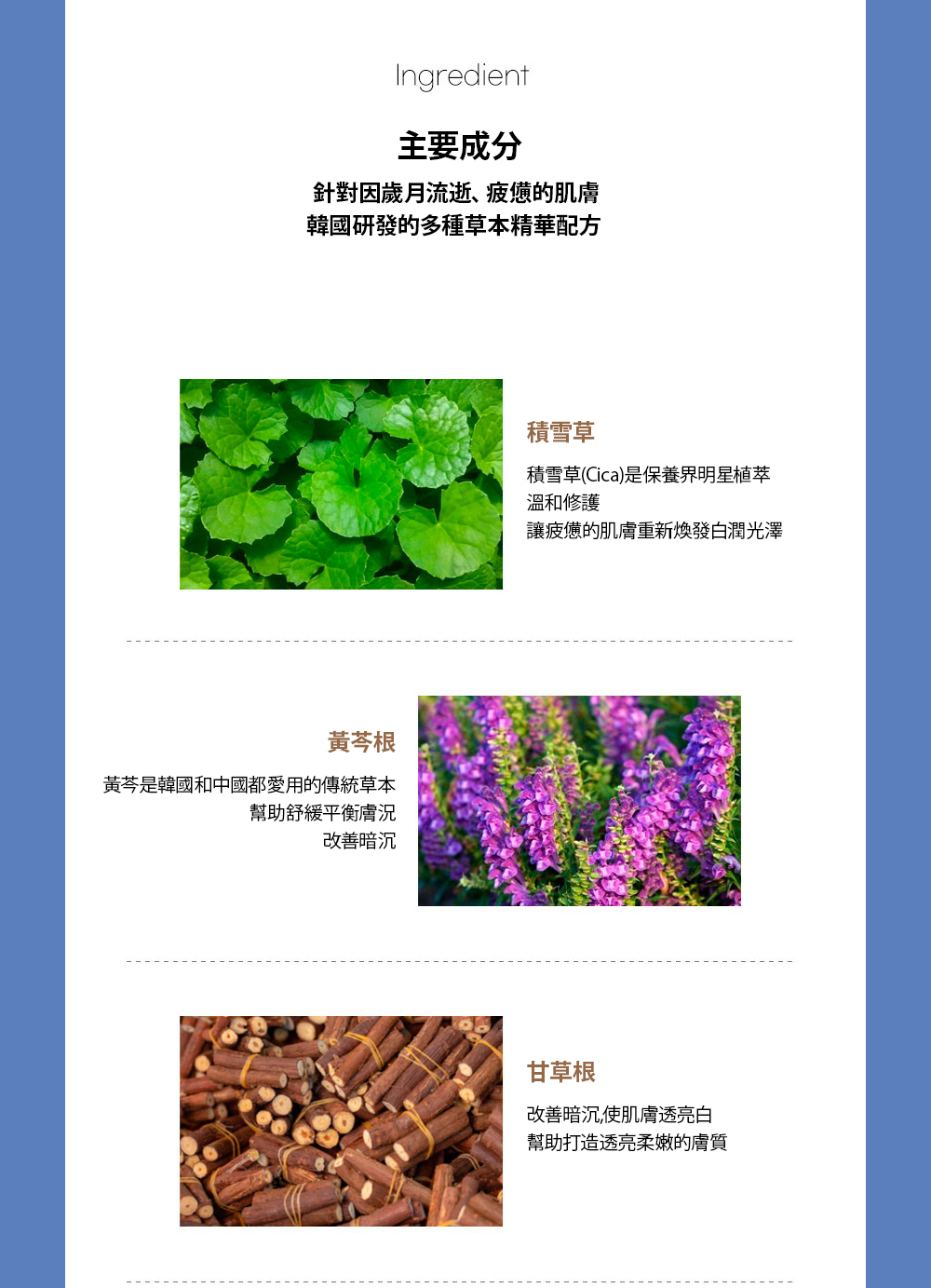 黄芩是韩国和中国都爱用的传统草本
