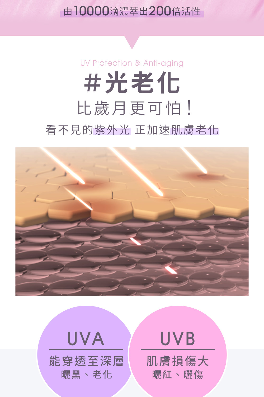 由10000滴浓萃出200倍活性