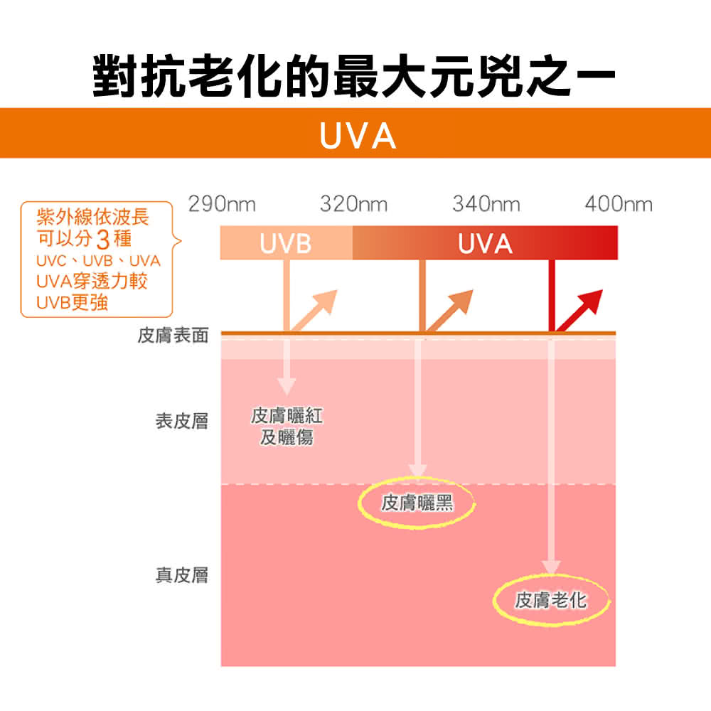 对抗老化的最大元凶之一
