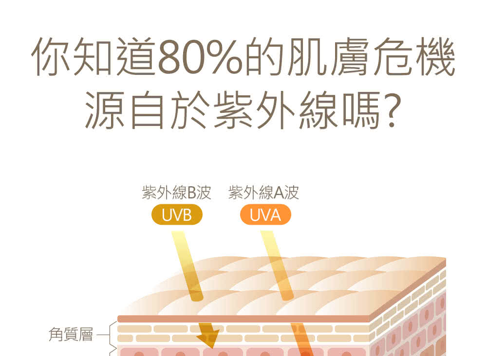 你知道80%的肌肤危机 源自于紫外线吗 角质层 紫外线B波紫外线A波 