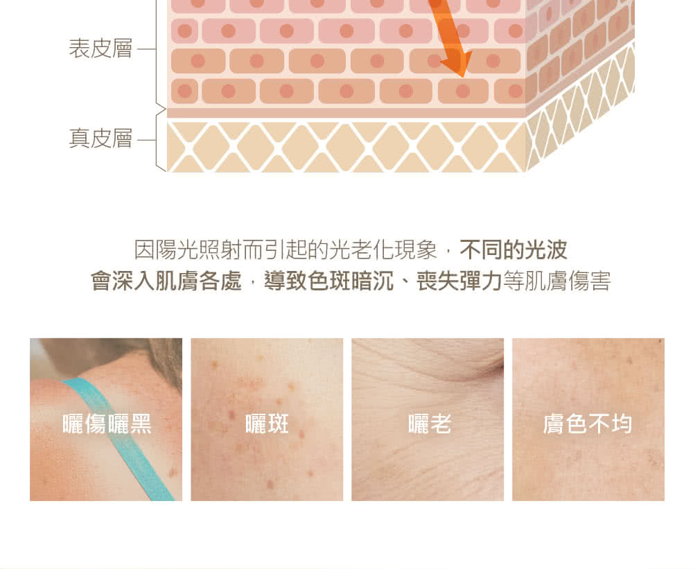 会深入肌肤各处,导致色斑暗沉、丧失弹力等肌肤伤害