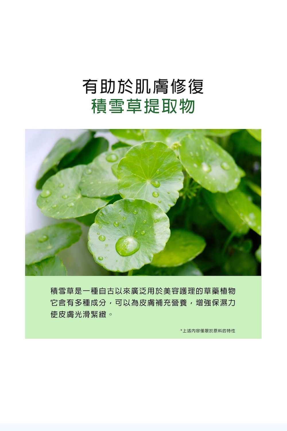 积雪草是一种自古以来广泛用于美容护理的草药植物